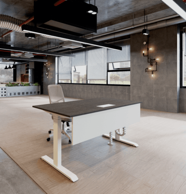 Ergo Series Dual Motor Electric Height Adjustable Standing Desk - Image 1